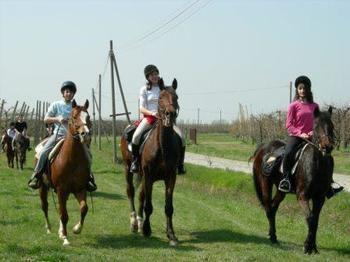 Agriturismo La Riccardina Βίλα Budrio  Εξωτερικό φωτογραφία